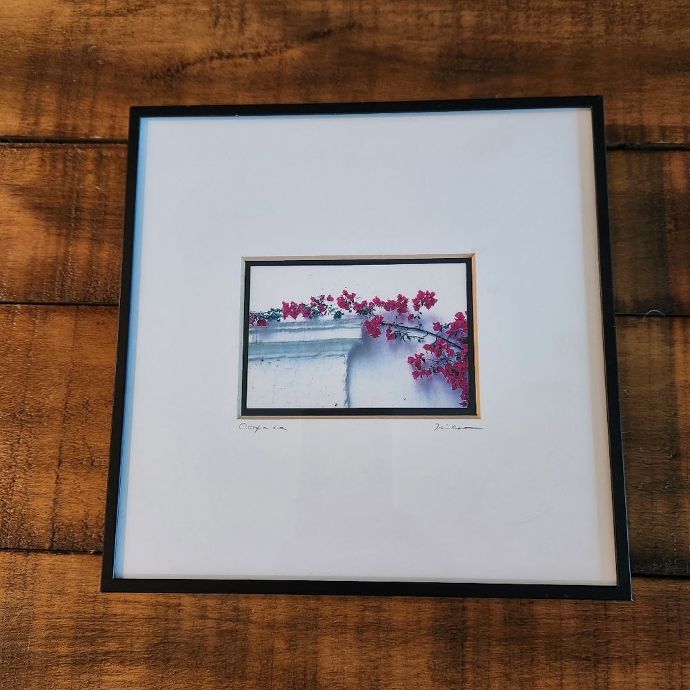 Framed photo Oaxaca Flower, Tim Nielson photography image 53.